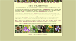 Desktop Screenshot of irishwildflowers.ie