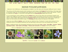 Tablet Screenshot of irishwildflowers.ie